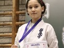 II. Hinomoto Kupa
