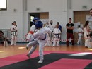 III. Komló Kupa