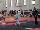 III. Komló Kupa