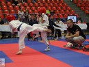 IKO Sosai EB