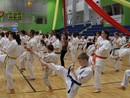IV. Karate Maraton