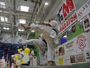 IV. Karate Maraton