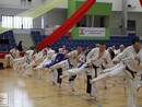 IV. Karate Maraton