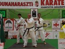 IV. Karate Maraton