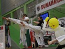IV. Karate Maraton