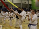 IV. Karate Maraton