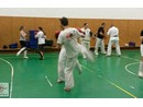 K-1 rendszerű edzés Molnár Zoltán vezetésével