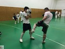 K-1 rendszerű edzés Molnár Zoltán vezetésével