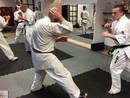Küzdő edzés Shihan Furkó Kálmán 7. Dan mesterrel