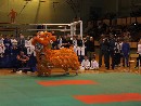 Nyílt Nemzetközi Kyokushin Bajnokság