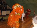 Nyílt Nemzetközi Kyokushin Bajnokság