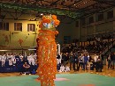 Nyílt Nemzetközi Kyokushin Bajnokság