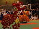 Nyílt Nemzetközi Kyokushin Bajnokság