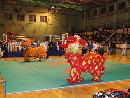 Nyílt Nemzetközi Kyokushin Bajnokság
