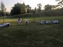 2015. Őszi szezonkezdő alapozás