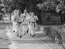 2015. Őszi szezonkezdő alapozás