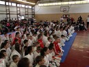 Pécel Kupa