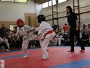 Pécel Kupa
