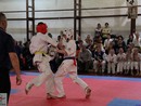 Pécel Kupa