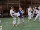 Tavaszi Edzőtábor