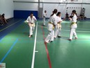 Sensei Valeri Dimitrov szemináriuma