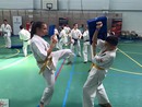 Sensei Valeri Dimitrov szemináriuma