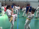 Sensei Valeri Dimitrov szemináriuma
