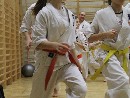 Nemzetközi IBK Kyokushin Karate Edzőtábor