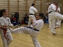 Nemzetközi IBK Kyokushin Karate Edzőtábor