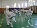 Utánpótlás küzdő edzés a Seishin Dojoban