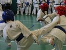 Utánpótlás küzdő edzés a Seishin Dojoban