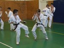 Utánpótlás küzdő edzés a Seishin Dojoban