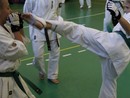 Utánpótlás küzdő edzés a Seishin Dojoban