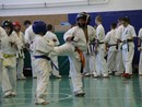 Utánpótlás küzdő edzés a Seishin Dojoban
