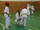Utánpótlás küzdő edzés a Seishin Dojoban
