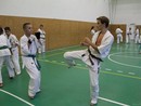 Utánpótlás küzdő edzés a Seishin Dojoban