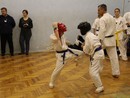 Utánpótlás küzdőedzés Szolnokon