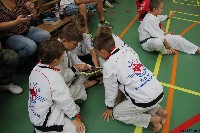 Honkyokushin Kispest Kupa