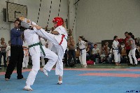 Honkyokushin Kispest Kupa