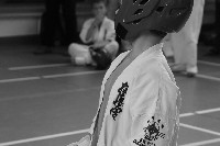 Honkyokushin Kispest Kupa