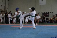Honkyokushin Kispest Kupa