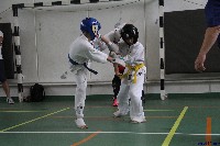 Honkyokushin Kispest Kupa