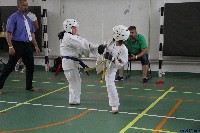 Honkyokushin Kispest Kupa