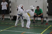 Honkyokushin Kispest Kupa