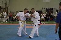 Honkyokushin Kispest Kupa