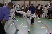 Honkyokushin Kispest Kupa