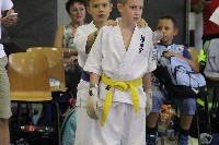 Honkyokushin Kispest Kupa