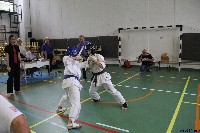 Honkyokushin Kispest Kupa
