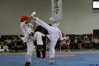 Honkyokushin Kispest Kupa