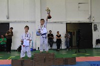 Honkyokushin Kispest Kupa
